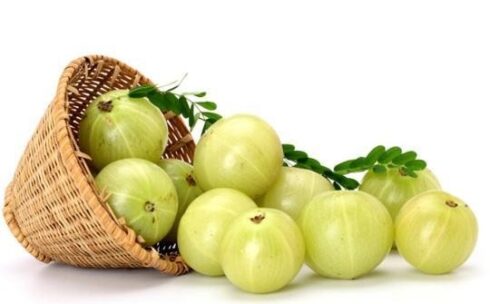 Amla prah 100g The best of nature / We are one